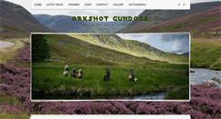 Desktop Screenshot of oakshot.com